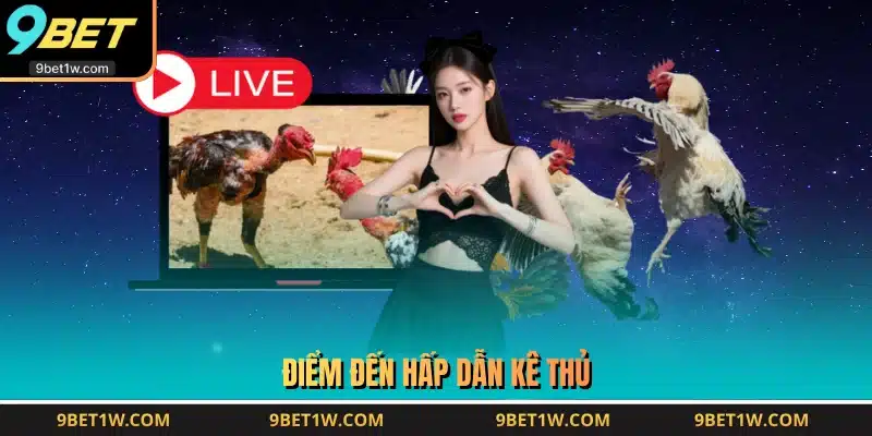 Điểm đến hấp dẫn kê thủ